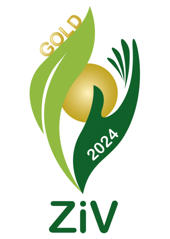 Zukunft ist Verantwortung 2024 Gold Award für ecoturbino